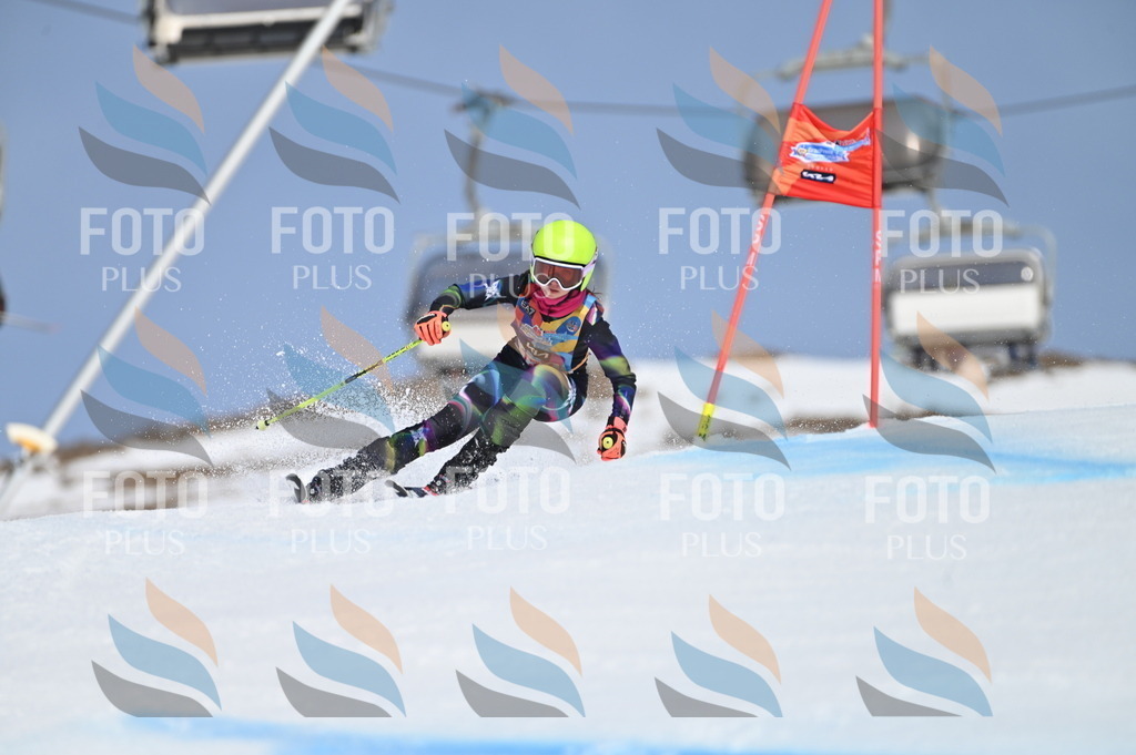 BGV_9834 | holidayphoto