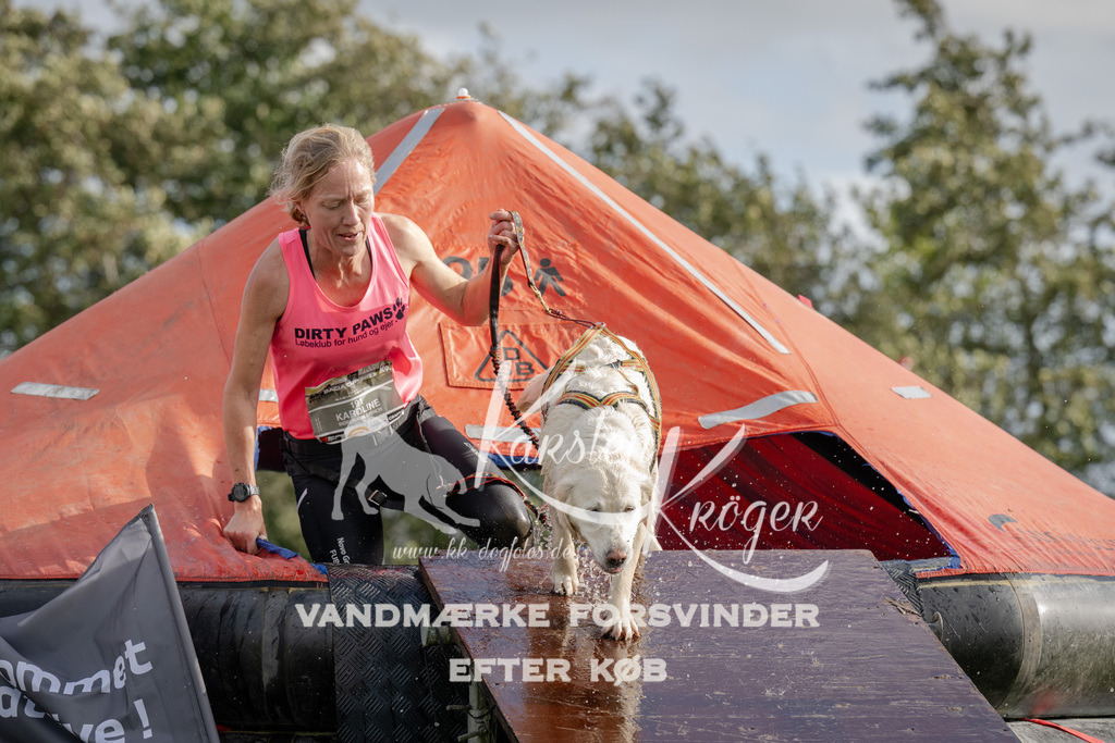 1414-93799 | kk-dogfotos