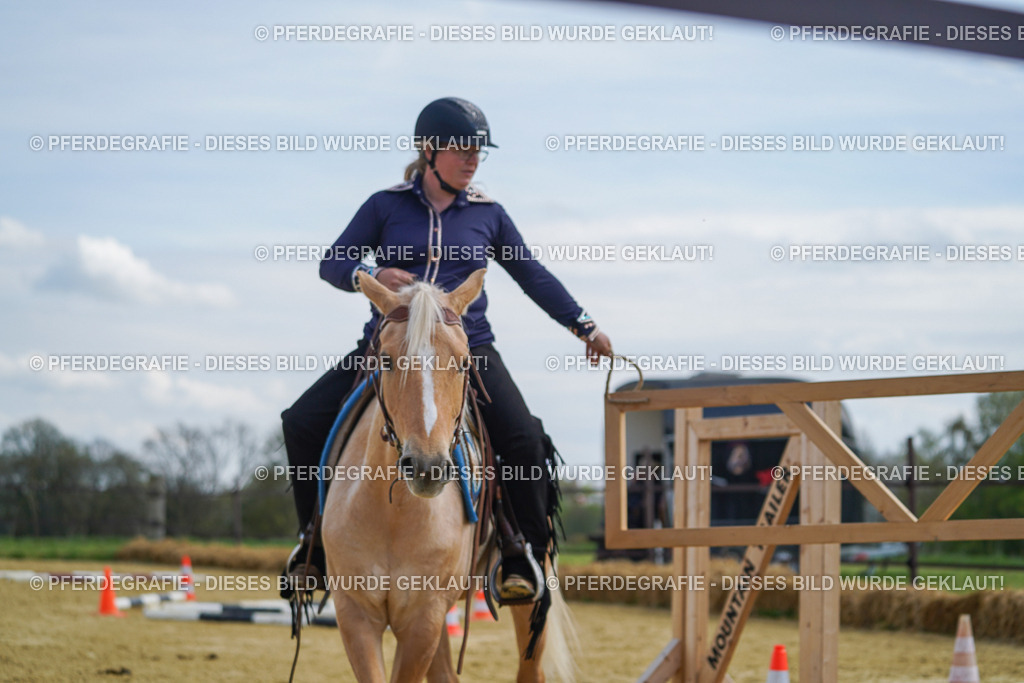 DSC05082 | Pferdegrafie