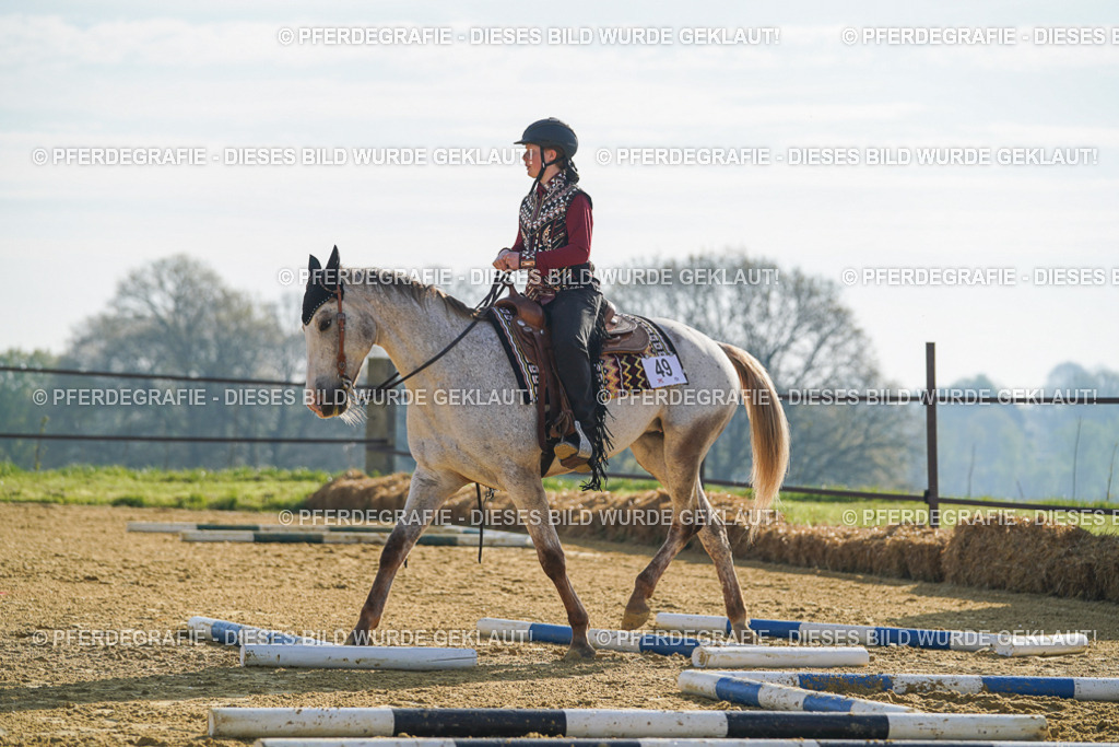 DSC00850 | Pferdegrafie