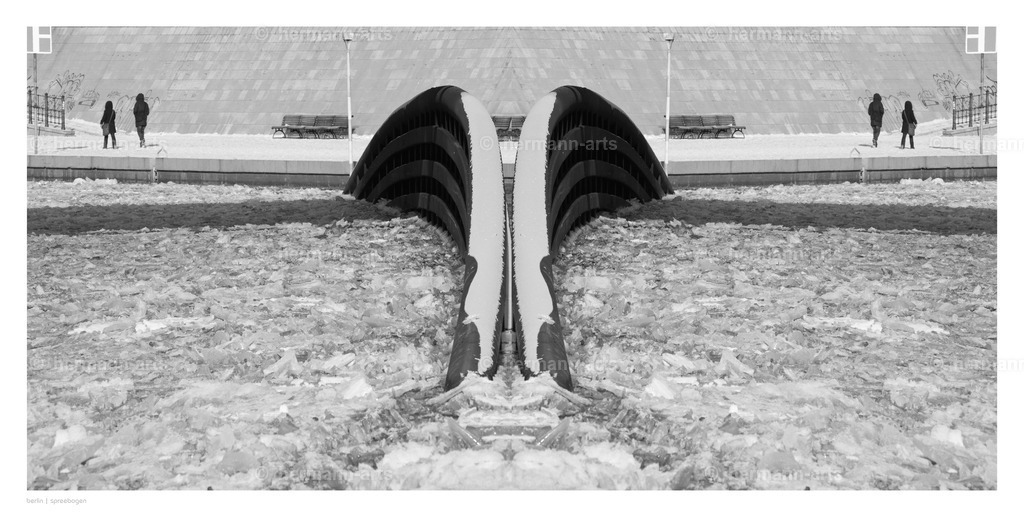Hermann-Arts_Spiegelbilder_029 | Photo Foto Kunst Art schwarzweiss Bilder Rheine Münster Berlin Blumen 