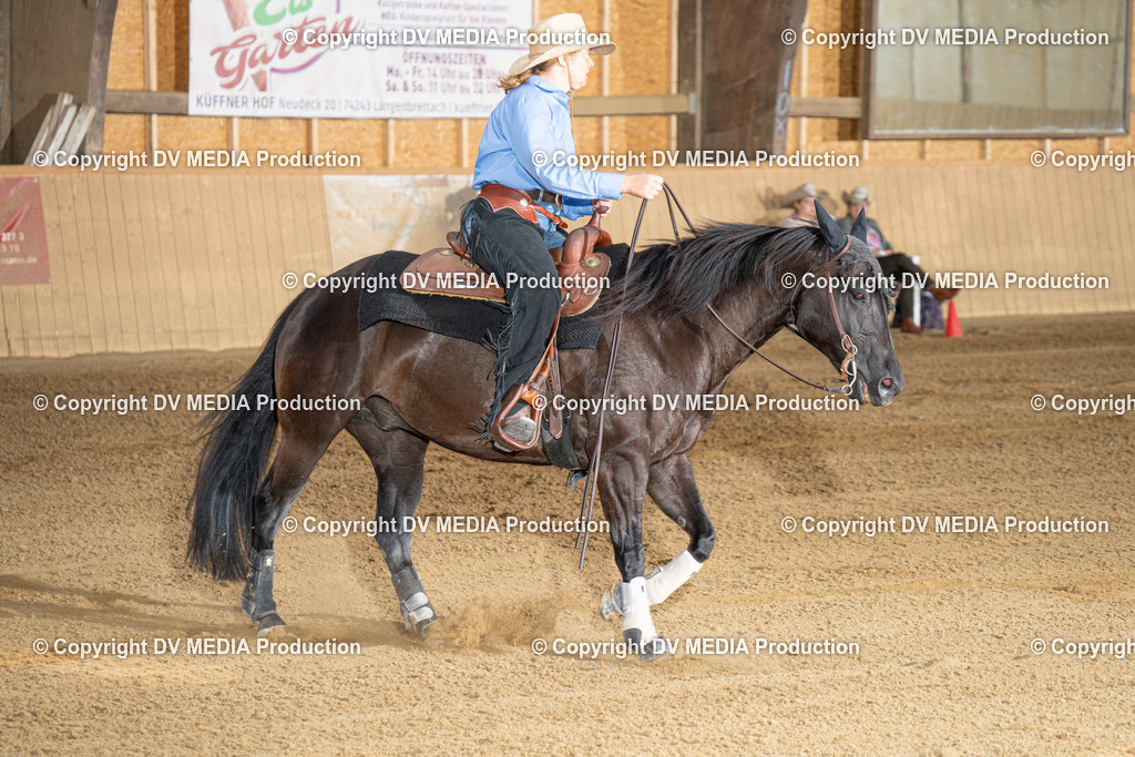 DSC00031-2 | dv-media-shop - Realisiert mit Pictrs.com