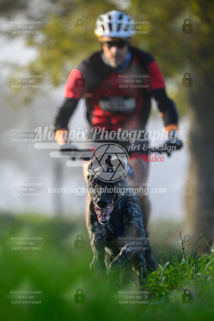 MompixPhotography_20TSB_E3_Bike-71 | PayLife