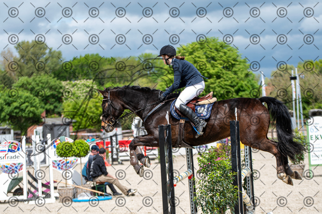 KPT_5654 | andre_photographic