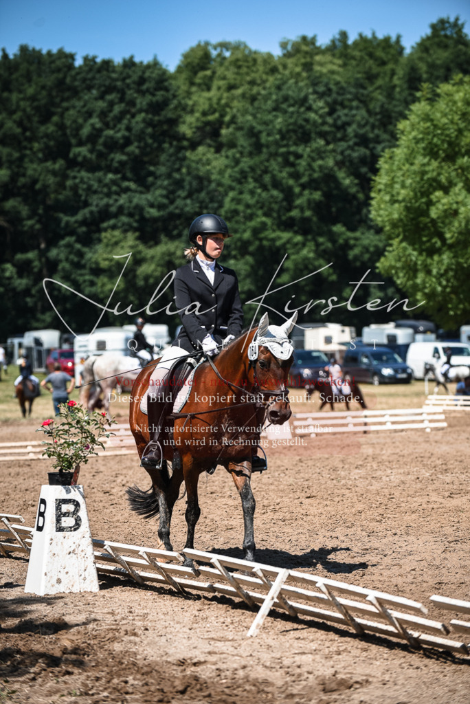 DSC_3035 | Pferde- und Turnierfotografie in Westsachsen. Pferdeportraits, Auftragszeichnungen und intuitive Kunst.