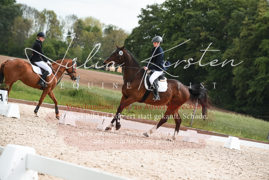20230518_JK-Röhrsdorf-10-075 | Pferde- und Turnierfotografie in Westsachsen. Pferdeportraits, Auftragszeichnungen und intuitive Kunst.