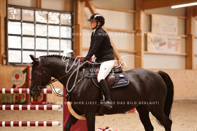 1J2A9116Mira Leinert_ Ilari R_ Kn291_ Glantz_ Hohen Wieschendorf | Foto- und Videografie für alles rund ums Pferd. Hochwertige Bilder und Videos vom Spring- und Dressurreiten, Voltigieren & mehr. Jetzt aktuelle Veranstaltungen und Preise im Shop ansehen. - Realisiert mit Pictrs.com