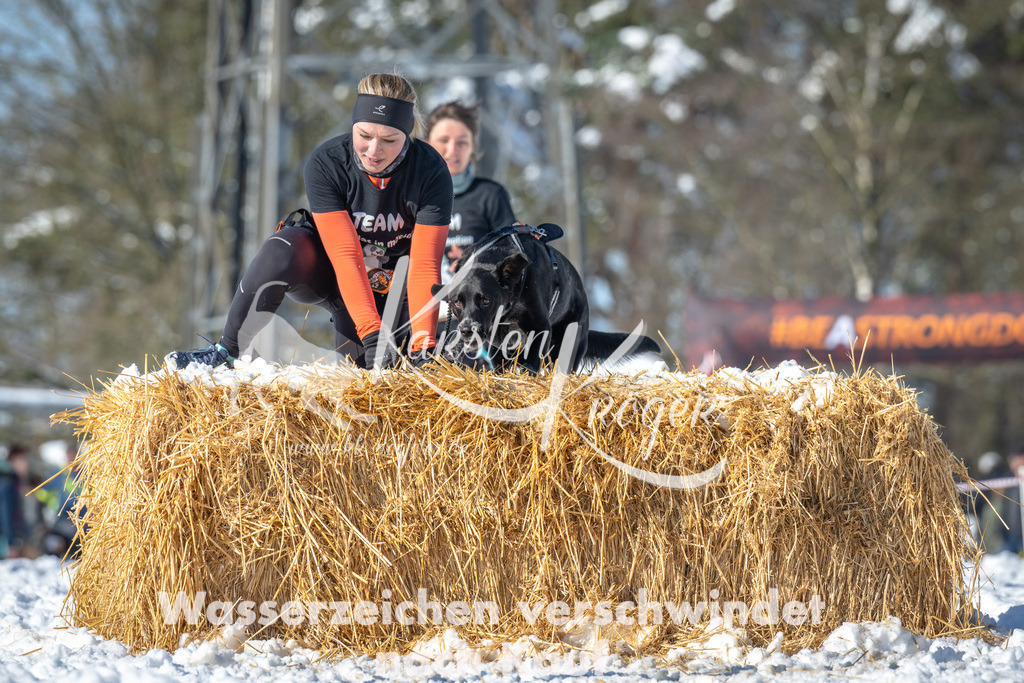 1113_ZZ90713-3 | kk-dogfotos