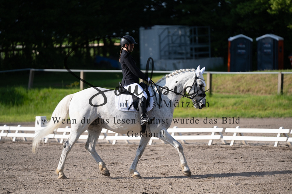 A7V02266 | Pferdefotograf