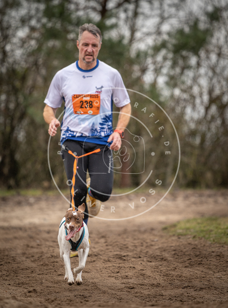 Pfotenfotografie_DV3A1072 | Hundefotografie, Tierfotograf, Pfotenfotografie, Fotoshooting Hund, Hunde Portrait, Hundesport, Hundeportraits, Heideshooting, Hunde, Sportfotograf, Hundefotograf, Turnierhundsport, THS,  - Realisiert mit Pictrs.com
