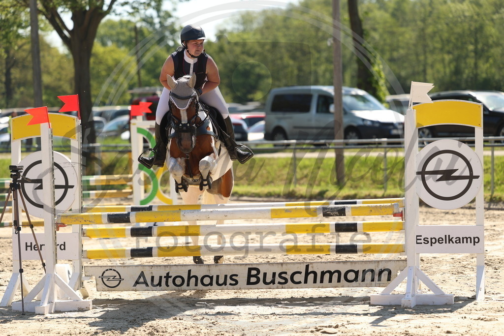 994A5658 | sabrinanicolaifotografie - Realisiert mit Pictrs.com