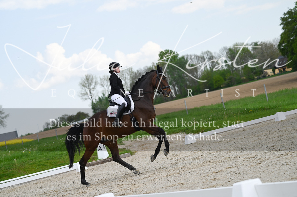 20230512_JK-Röhrsdorf-03-008 | Pferde- und Turnierfotografie in Westsachsen. Pferdeportraits, Auftragszeichnungen und intuitive Kunst.