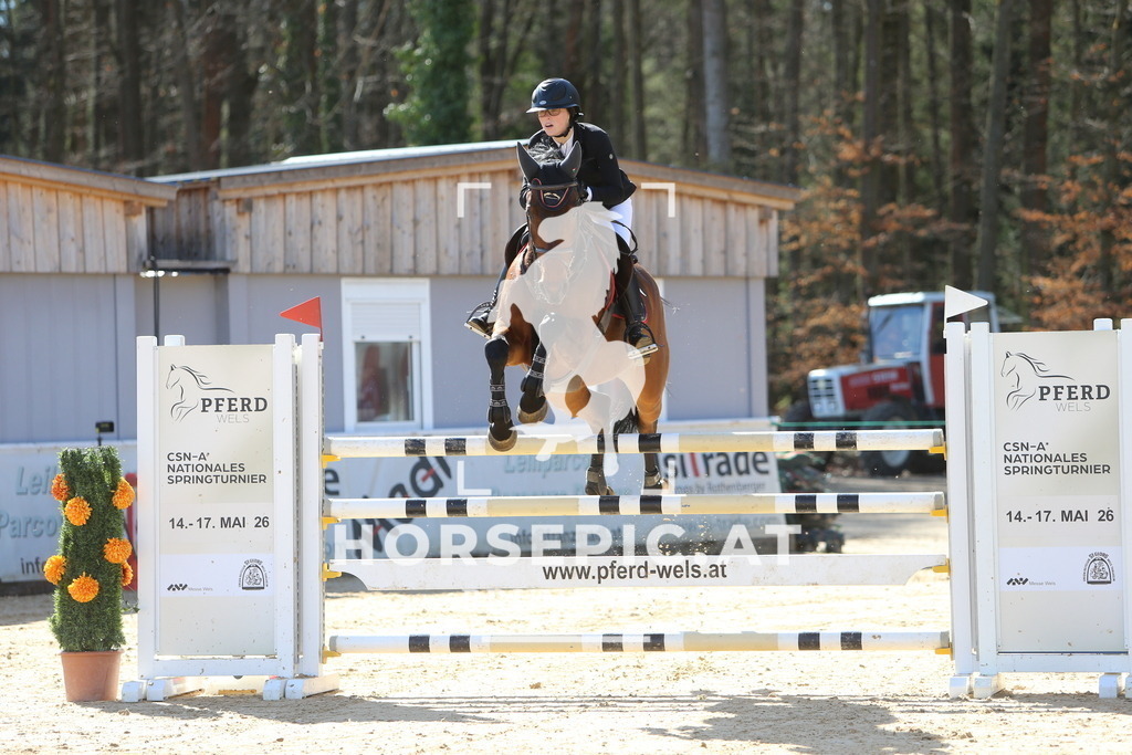 DL2Q4398 | Willkommen bei Brunnmayr - Design & Fotografie – Ihrem Spezialisten für Reitturniere und Pferdeveranstaltungen in Oberösterreich, Salzburg und Bayern! Seit über 17 Jahren sind wir leidenschaftlich dabei.