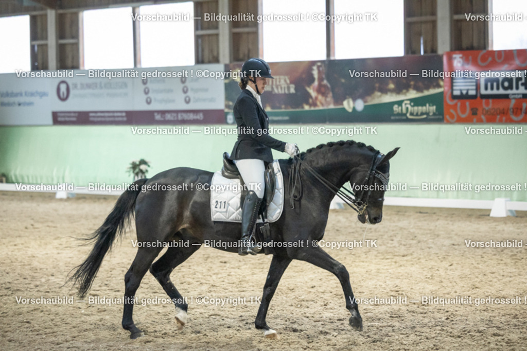 _D5A3682 | Emotionale Pferde- & People-Fotografie rund um Heidelberg, Leimen & Umgebung. Natürliche Fotos von Pferd, Mensch & Familie. Jetzt Termin sichern!