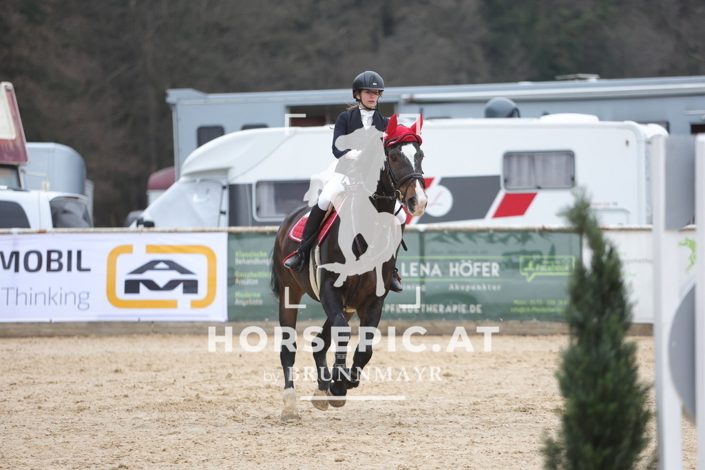 0P6A4078 | Willkommen bei Brunnmayr - Design & Fotografie – Ihrem Spezialisten für Reitturniere und Pferdeveranstaltungen in Oberösterreich, Salzburg und Bayern! Seit über 17 Jahren sind wir leidenschaftlich dabei.