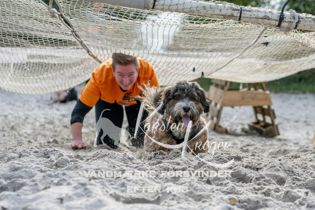 1233_ZZ91782 | kk-dogfotos