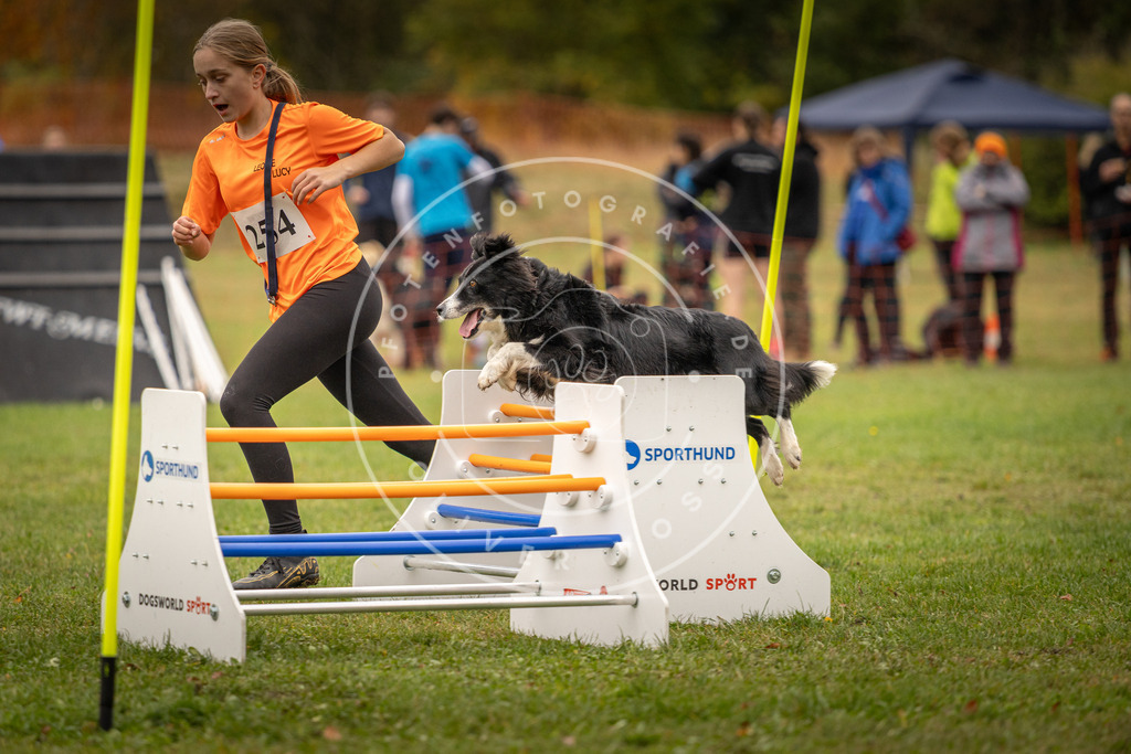 Pfotenfotografie_DV3A6226 | Hundefotografie, Tierfotograf, Pfotenfotografie, Fotoshooting Hund, Hunde Portrait, Hundesport, Hundeportraits, Heideshooting, Hunde, Sportfotograf, Hundefotograf, Turnierhundsport, THS,  - Realisiert mit Pictrs.com