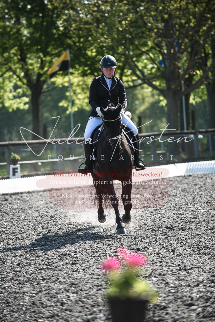DSC_8802 | Pferde- und Turnierfotografie in Westsachsen. Pferdeportraits, Auftragszeichnungen und intuitive Kunst.