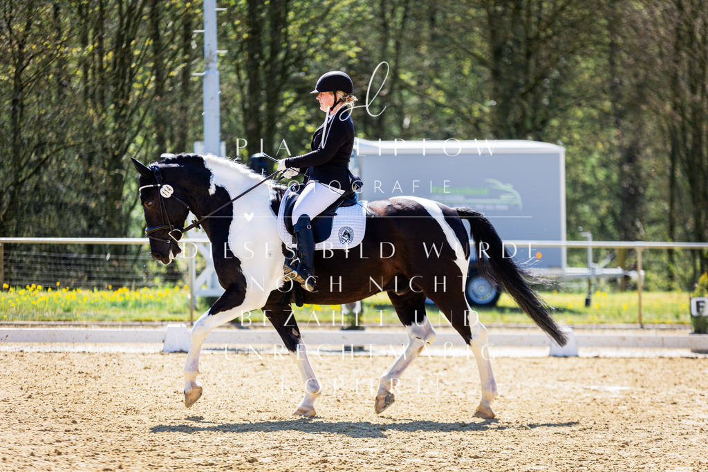 IMGT0879 | pl-fotografie