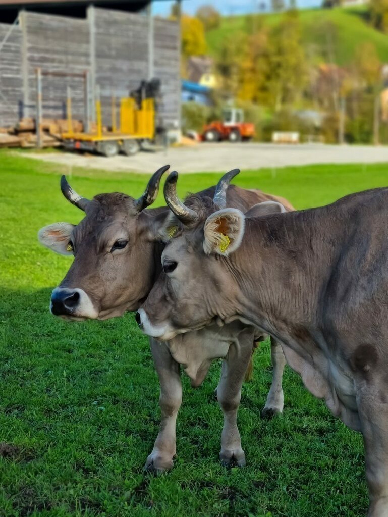 PSX_20221018_231530 | mtkfoto_ - Realisiert mit Pictrs.com