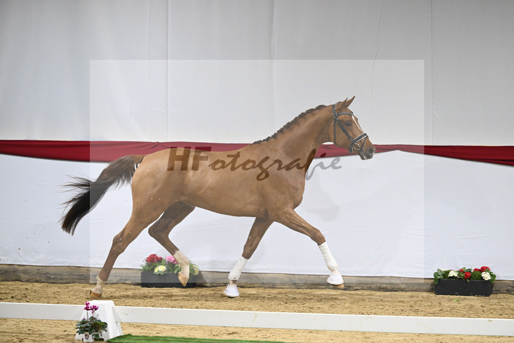 Kat-Nr. 52 v. Vivino_ZG Syha u Winkler_63221456 | hf-fotografie - Realizzato con Pictrs.com