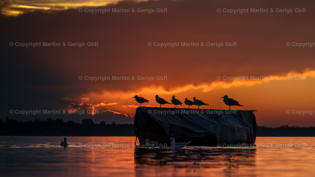 Markus Gerigk_26 | Martini & Gerigk - Realisiert mit Pictrs.com