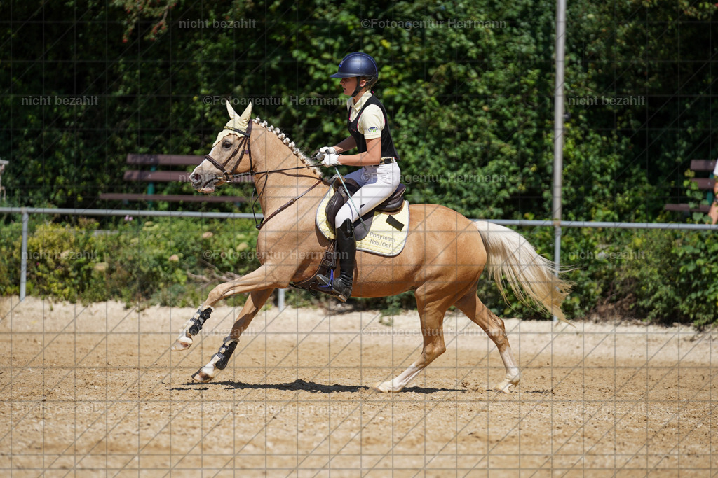 20240824-FAH08211 | Thierhaupten 2024, Bayerisches Landesponyturnier, Turnierbilder, Ponybilder, Turnierfotografen Bayern, Fotoagentur Herrmann