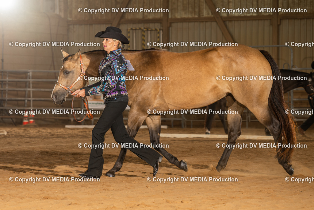 NID02435 | dv-media-shop - Realisiert mit Pictrs.com