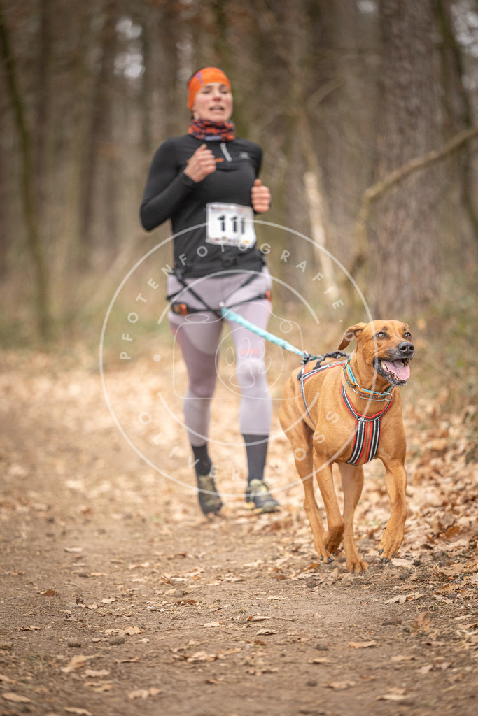 Pfotenfotografie_DV3A7699 | Hundefotografie, Tierfotograf, Pfotenfotografie, Fotoshooting Hund, Hunde Portrait, Hundesport, Hundeportraits, Heideshooting, Hunde, Sportfotograf, Hundefotograf, Turnierhundsport, THS,  - Realisiert mit Pictrs.com