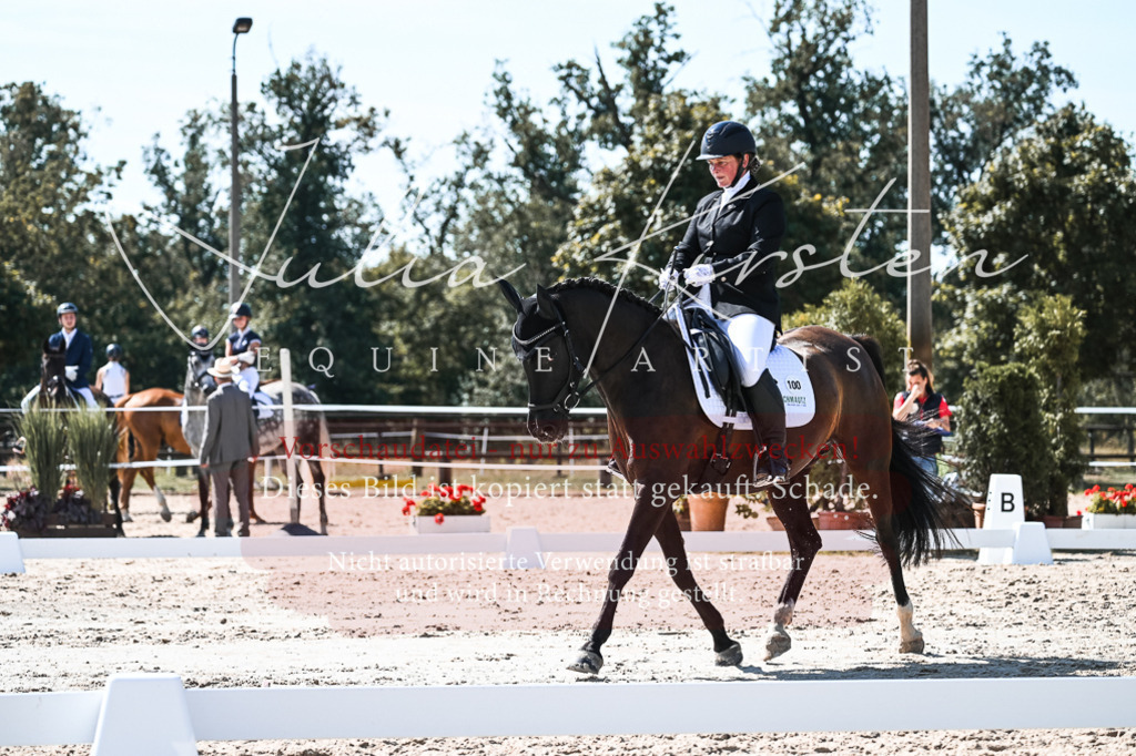 DSC_5027 | Pferde- und Turnierfotografie in Westsachsen. Pferdeportraits, Auftragszeichnungen und intuitive Kunst.