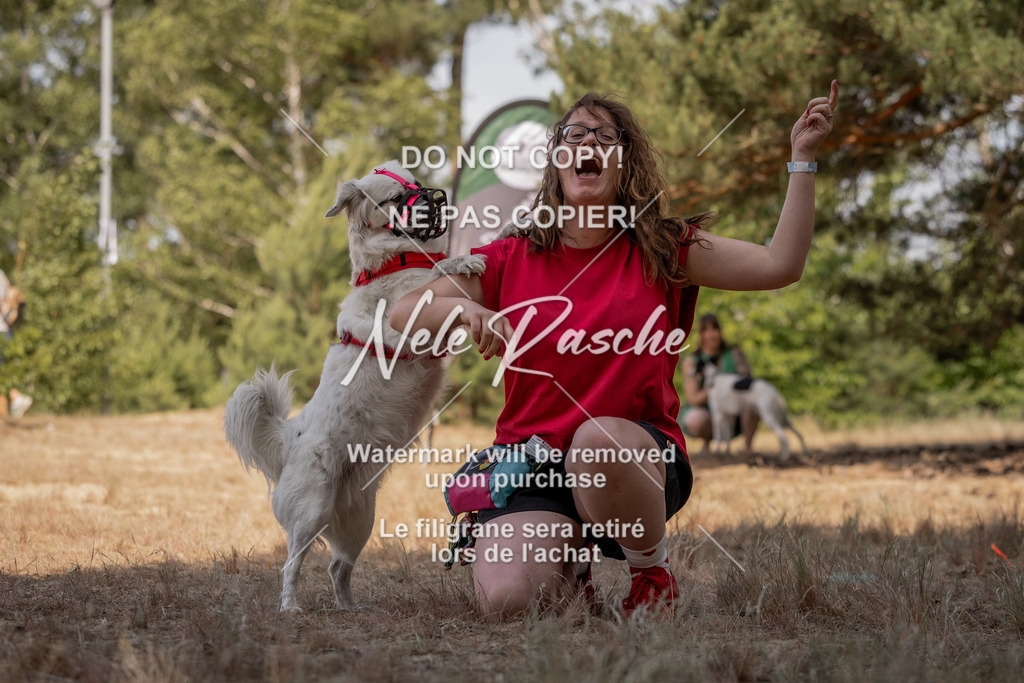 nelerasche_soDD2_410 | nelerasche