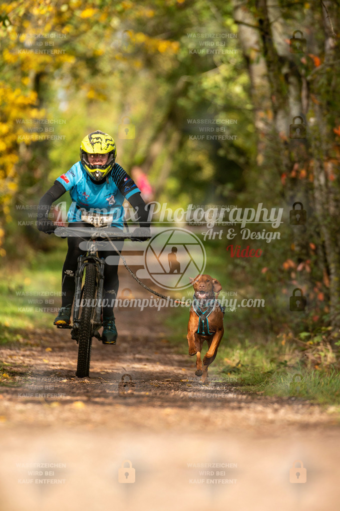 TSB_2023_E4_Bike-77 | PayLife