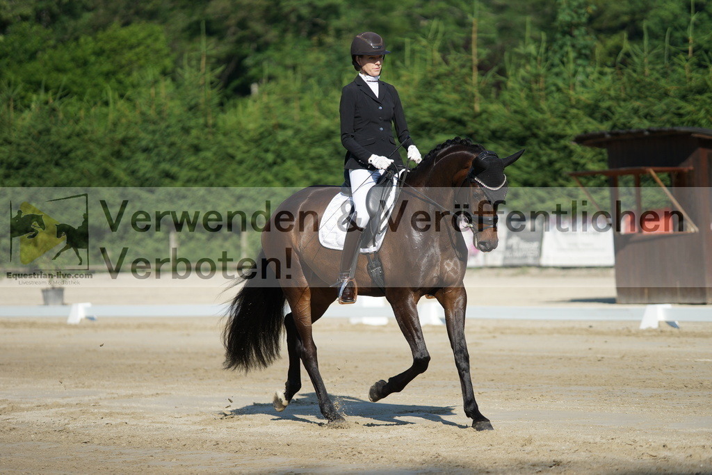 DSC02817 | equestrian-live-com