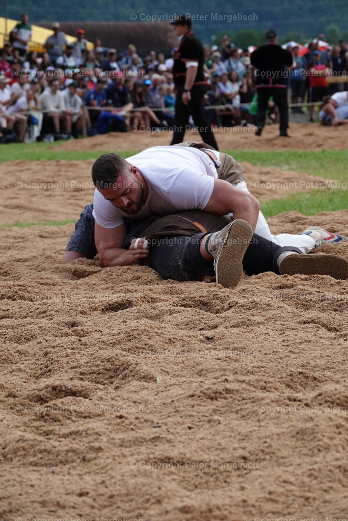 DSC01172 | Schwingen - Realisiert mit Pictrs.com