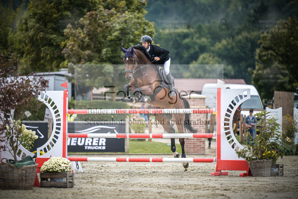 DOS_0860 | Entdecke hochwertige Reitturnierfotos von Foto Oger. Professionell, emotional und authentisch – jetzt Lieblingsmomente im Shop bestellen. - Realisiert mit Pictrs.com