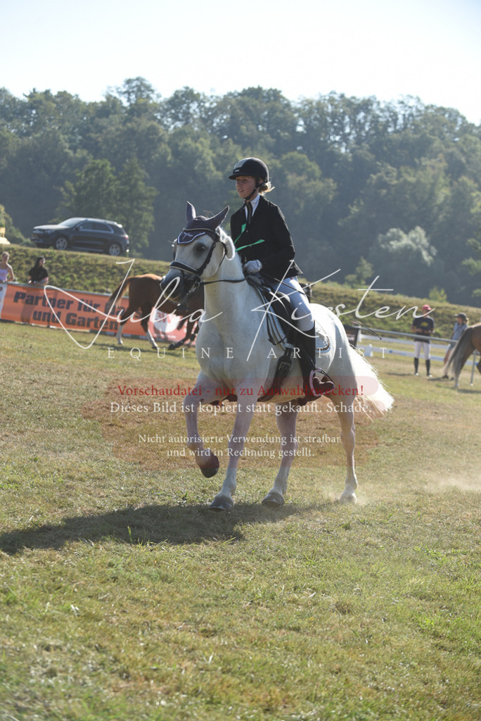 DSC_5509 | Pferde- und Turnierfotografie in Westsachsen. Pferdeportraits, Auftragszeichnungen und intuitive Kunst.