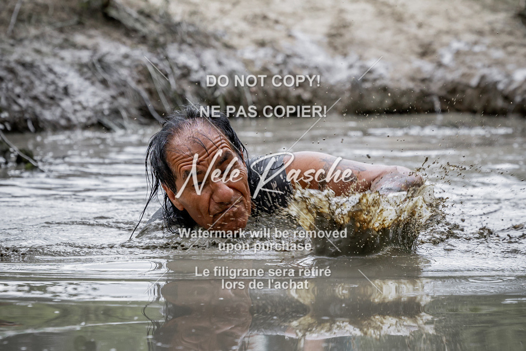 nelerasche_so1230-1300_232 | nelerasche