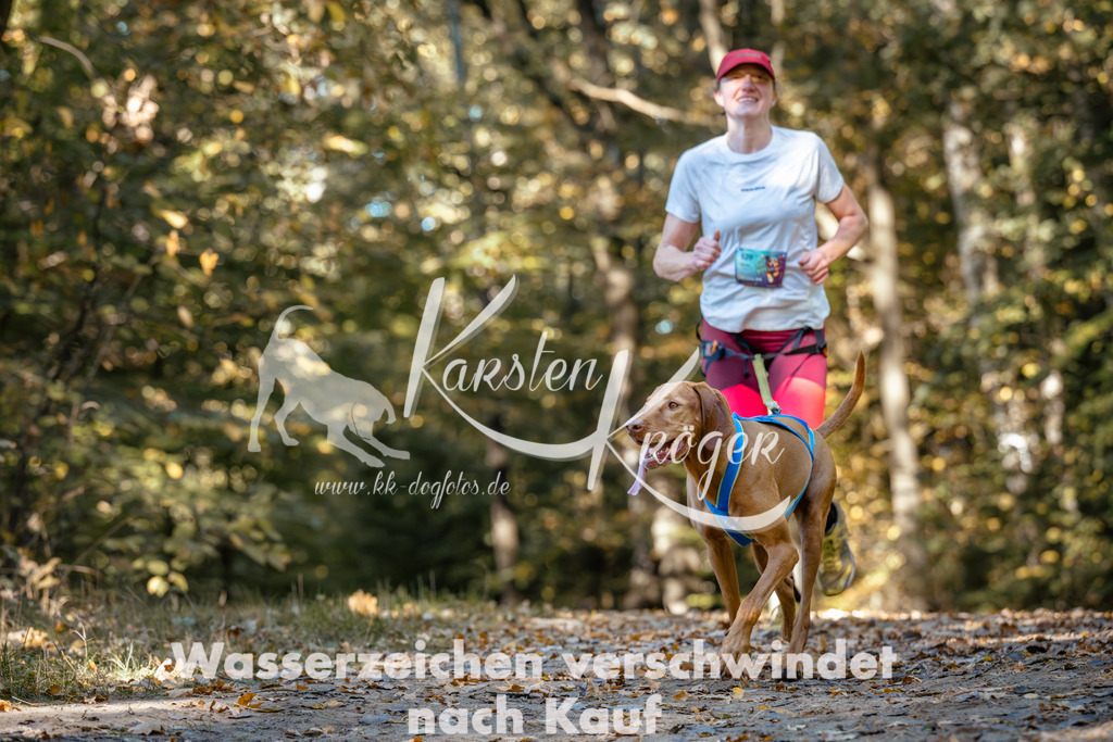 1139_ZZ93041 | kk-dogfotos