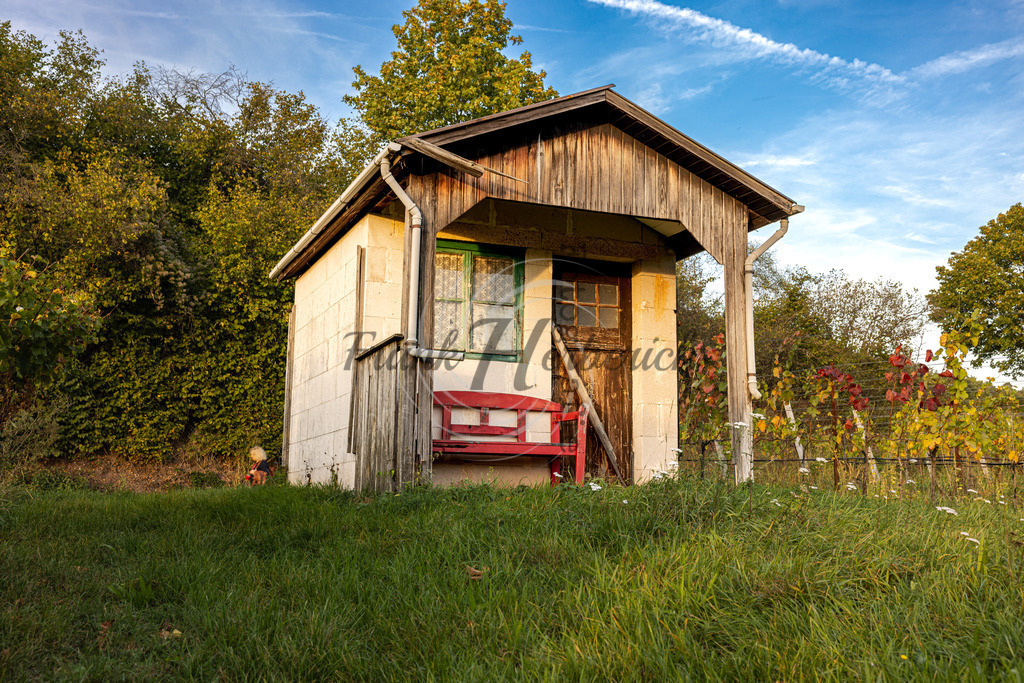 Bürgstadt | Weinhaus Bürgstadt - Realisiert mit Pictrs.com