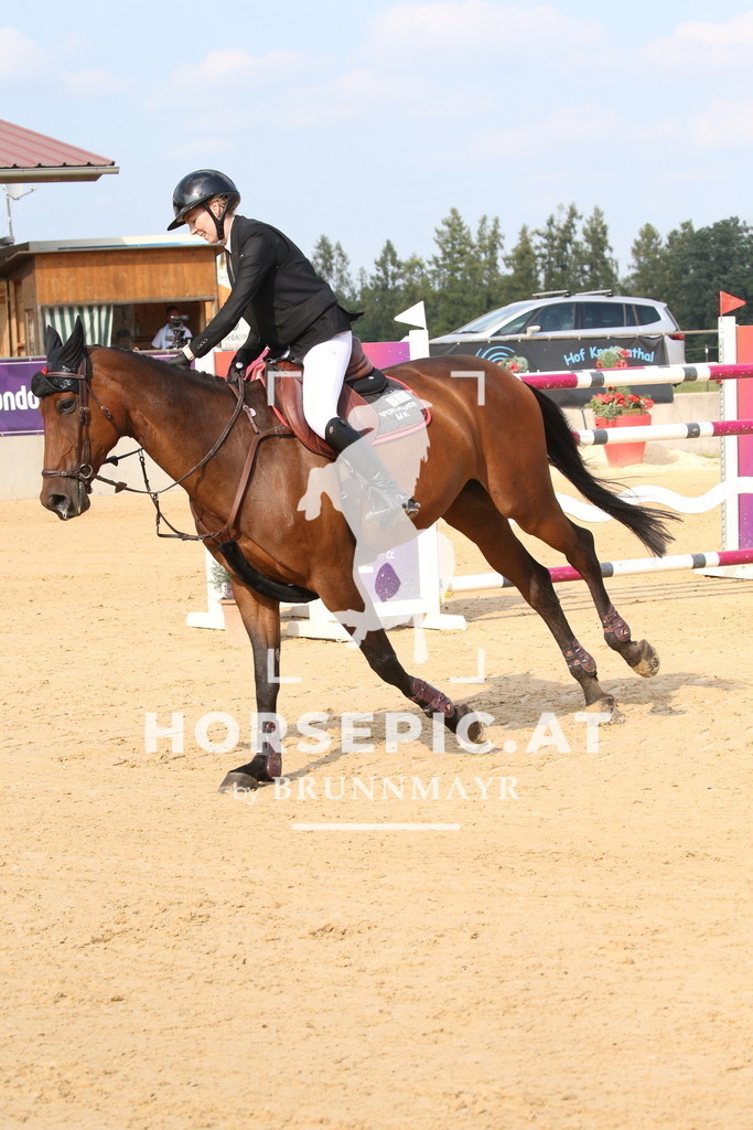 DL2Q8815 | Willkommen bei Brunnmayr - Design & Fotografie – Ihrem Spezialisten für Reitturniere und Pferdeveranstaltungen in Oberösterreich, Salzburg und Bayern! Seit über 17 Jahren sind wir leidenschaftlich dabei.