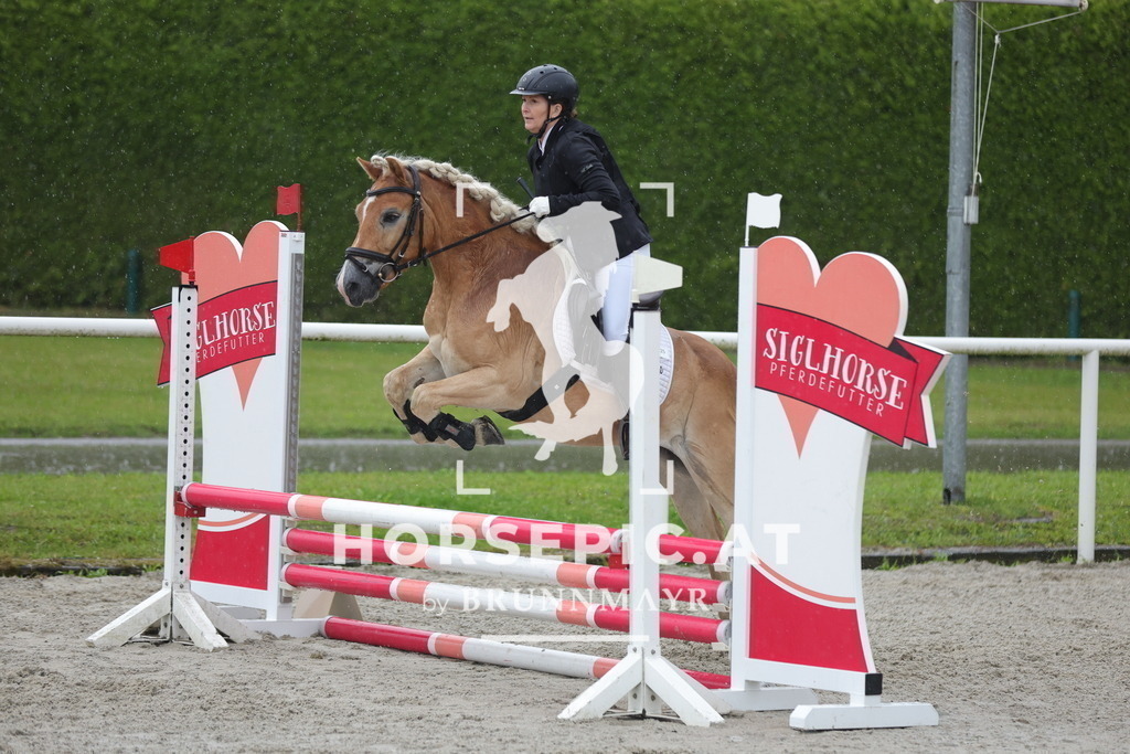 0P6A7741 | Willkommen bei Brunnmayr - Design & Fotografie – Ihrem Spezialisten für Reitturniere und Pferdeveranstaltungen in Oberösterreich, Salzburg und Bayern! Seit über 17 Jahren sind wir leidenschaftlich dabei.