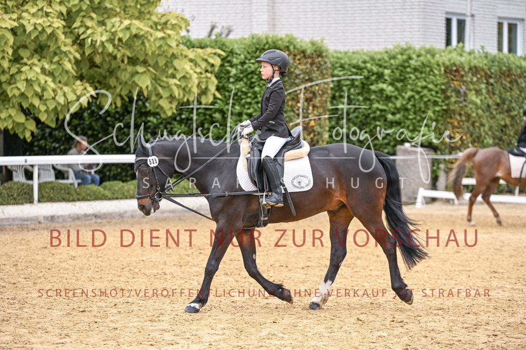 Schugtsche-Aluta25-47.ReiterWB_ST-63 | Schugtsche Fotografie - Realisiert mit Pictrs.com