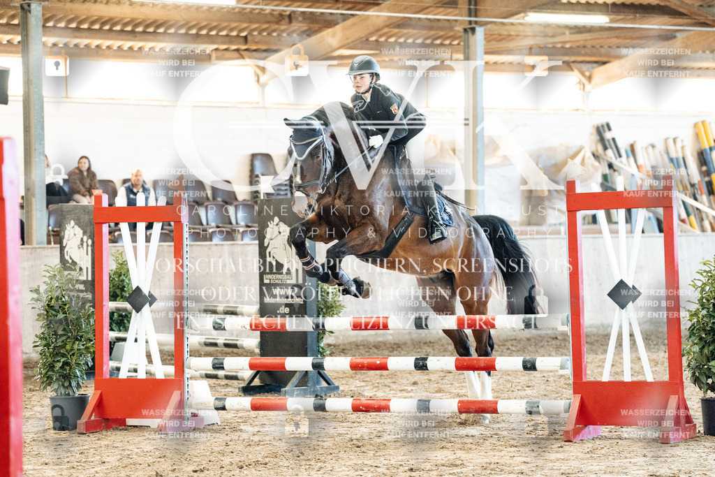 CK904434 | Turnierfotografie Pferdefotografie Trier Rheinland-Pfalz Pferdesport Reitsport Tierfotografie Sportfotografie Pferdevideo Pferdevideografie Equestrianvideography equestrianphotography  - Realisiert mit Pictrs.com