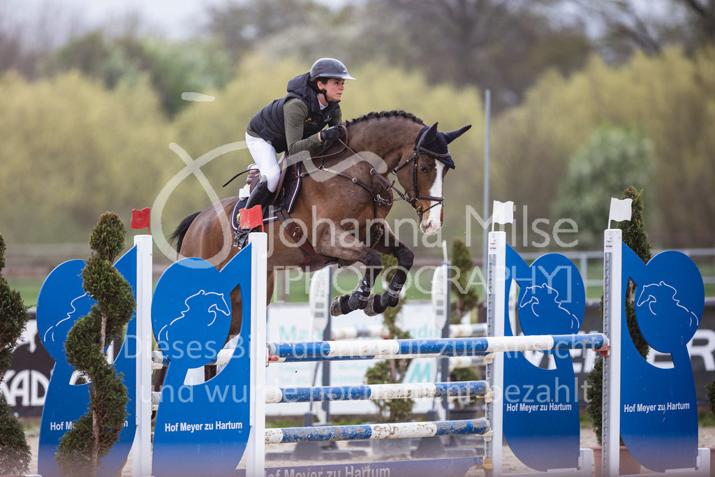 250417_Springpferde-L1-209 | Deine schönsten Turniermomente als professionelle Fotos! Entdecke hochwertige Pferdesport-Fotografie im Online-Shop. Jetzt Fotos finden & bestellen!