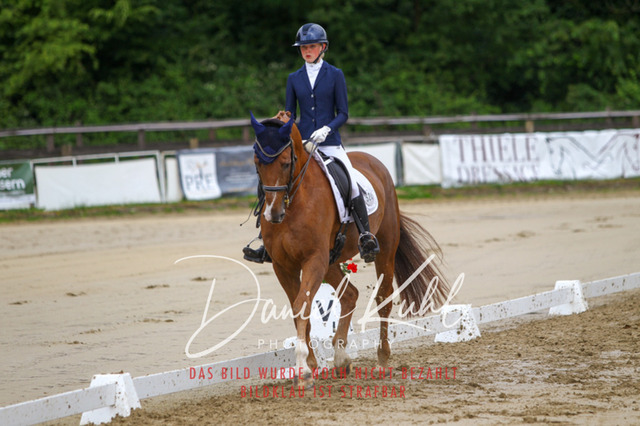 DKP47372 | Turniersportfotografie; Pferdefotografie; Dressurfotografie