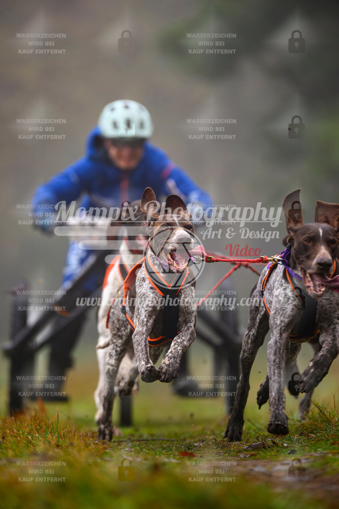 MompixPhotography_Bischwiller2025_Kart-14 | mompixphotography