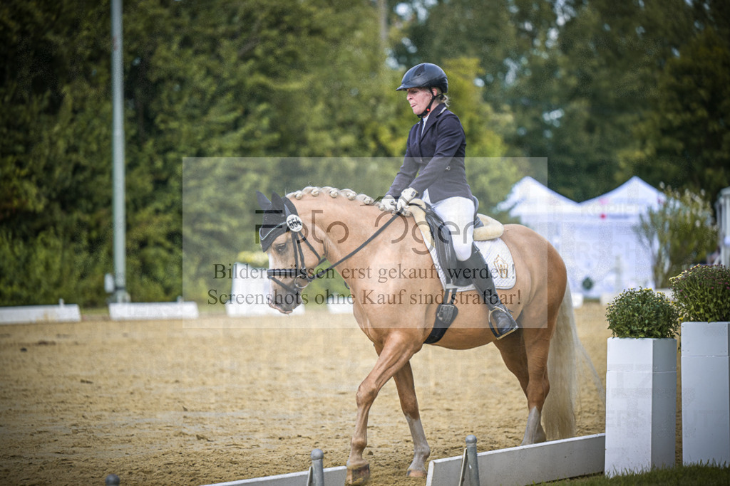 DOS_3757 | Entdecke hochwertige Reitturnierfotos von Foto Oger. Professionell, emotional und authentisch – jetzt Lieblingsmomente im Shop bestellen.Deutschlandweite Turnierfotografie. - Realisiert mit Pictrs.com