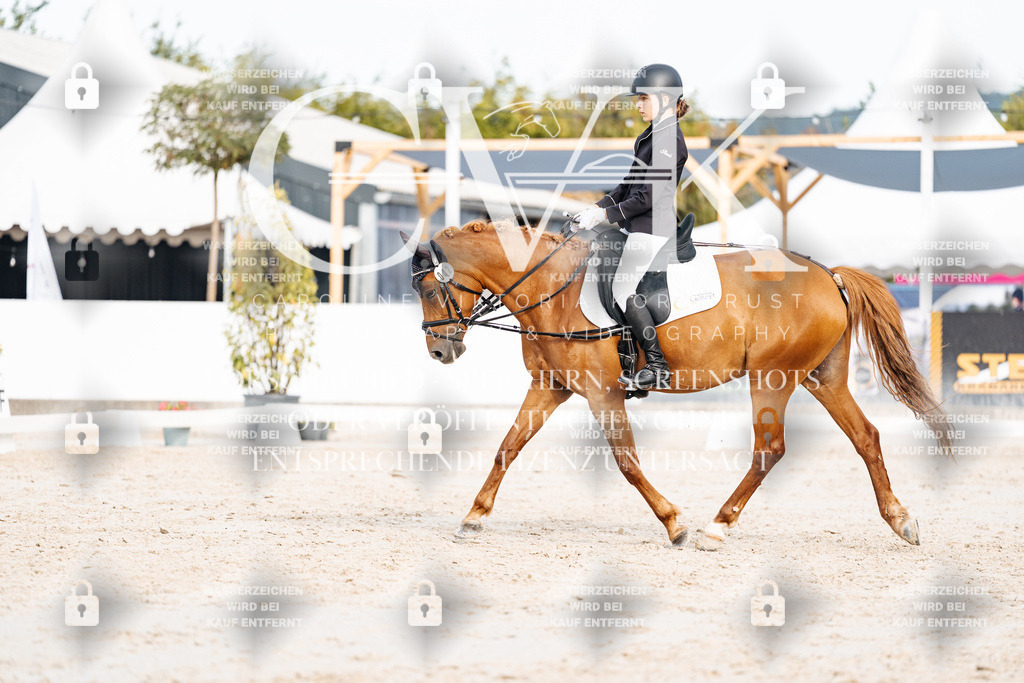 CK904592 | Turnierfotografie Pferdefotografie Trier Rheinland-Pfalz Pferdesport Reitsport Tierfotografie Sportfotografie Pferdevideo Pferdevideografie Equestrianvideography equestrianphotography  - Realisiert mit Pictrs.com