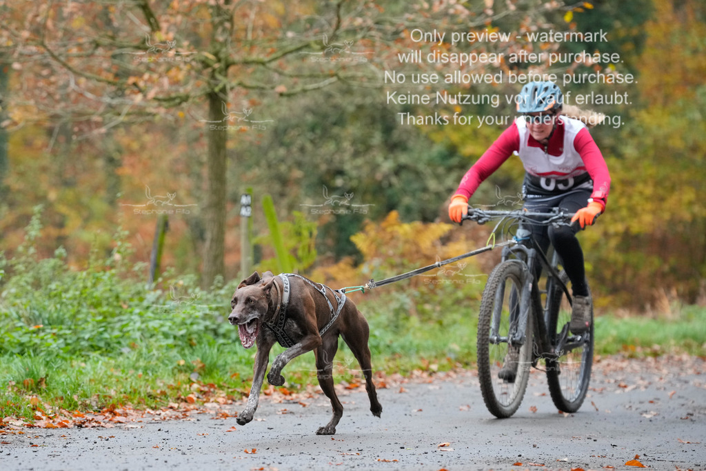 Bike_So-15 | stephaniefillaphotographie - Realisiert mit Pictrs.com