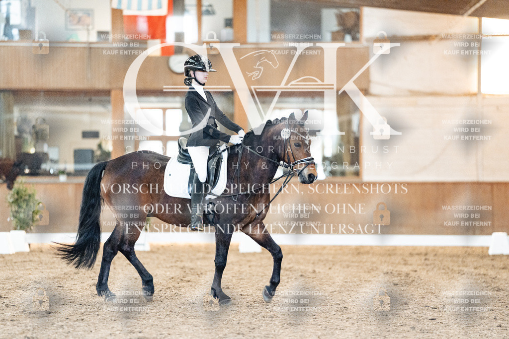 CK906590 | Turnierfotografie Pferdefotografie Trier Rheinland-Pfalz Pferdesport Reitsport Tierfotografie Sportfotografie Pferdevideo Pferdevideografie Equestrianvideography equestrianphotography  - Realisiert mit Pictrs.com